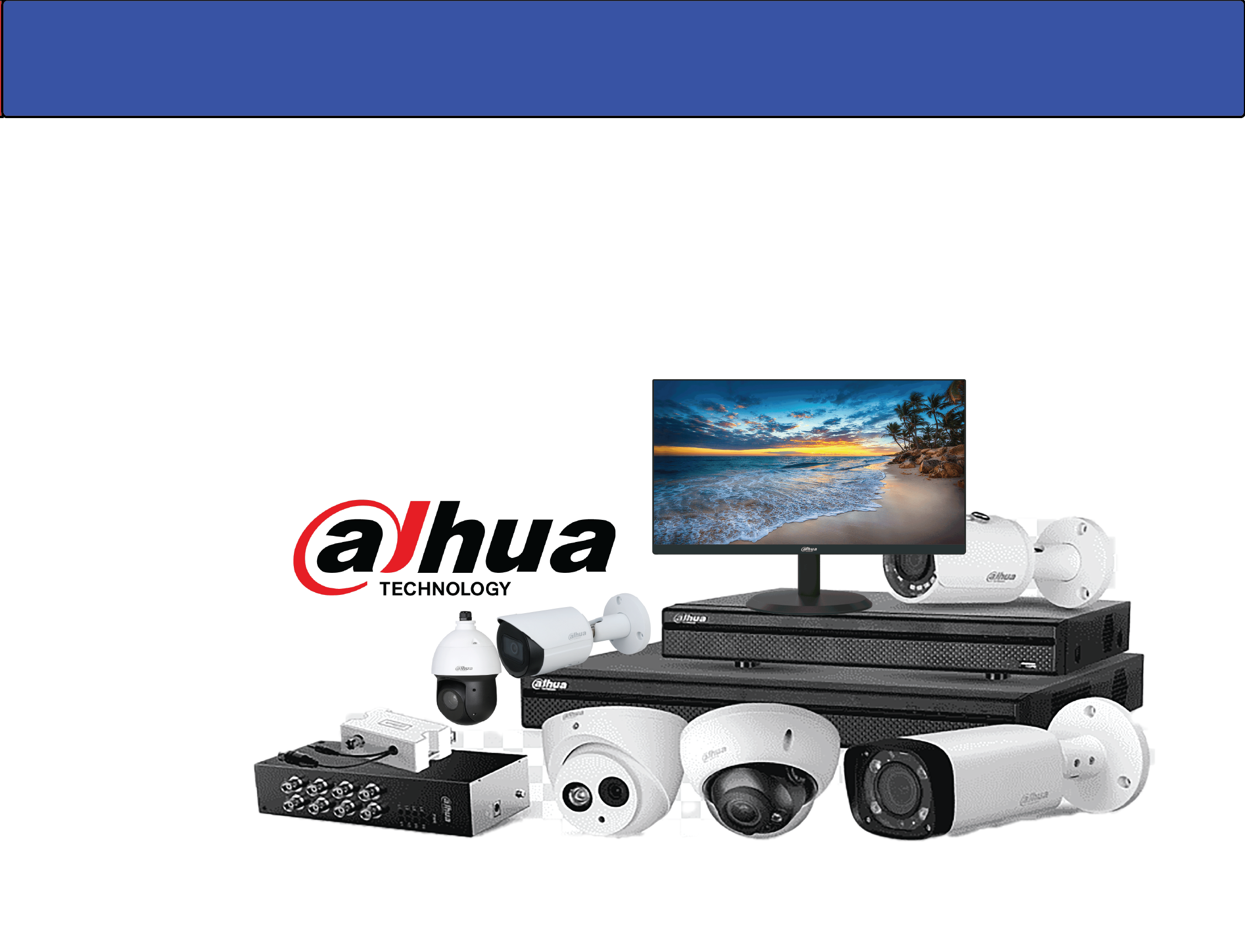 Dahua Surveillance System